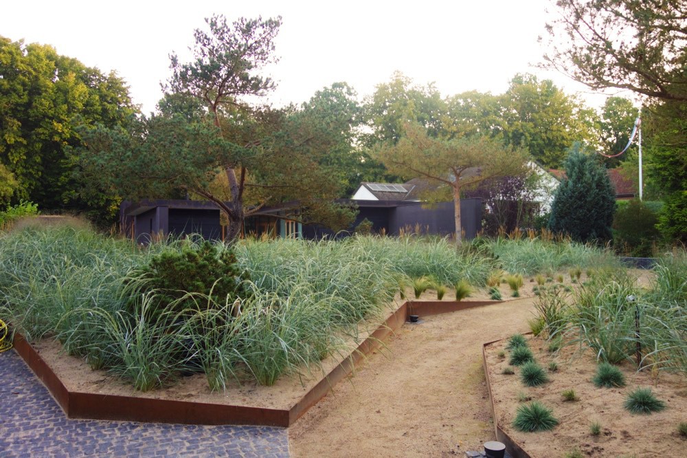 Neu angelegte Gartenflächen mit Wegen, Gräsern und jungem Baum