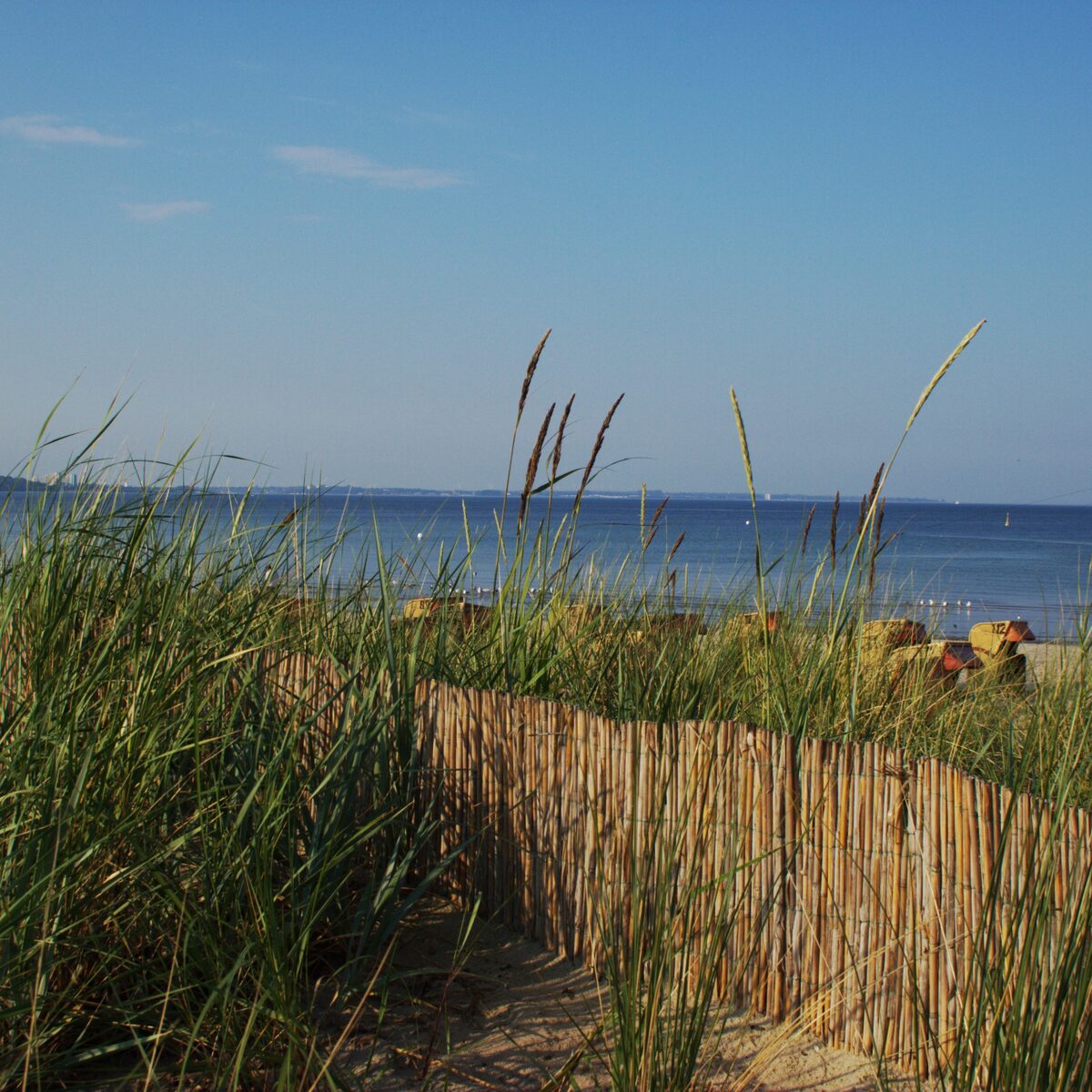 Strandvegetation mit Blick auf den Strand und die Ostsee in Scharbeutz